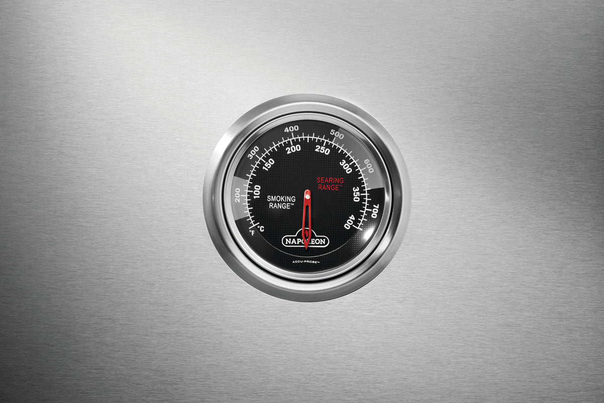 Napoleon Prestige 665 Connected RSIB